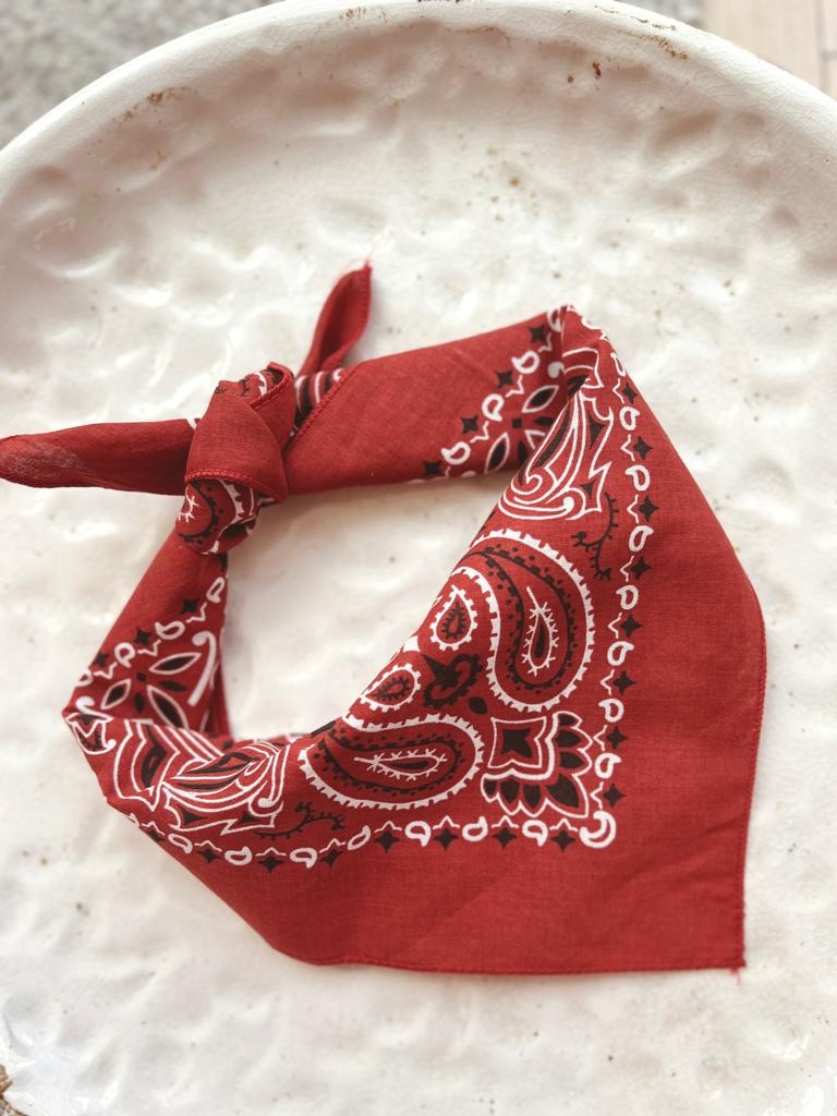 Bandana Scarf - Terracotta